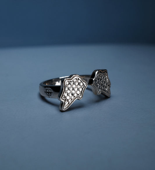 [ Blem x IV Silver Ring ]